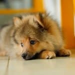 Eddie - @eddie_spitz - Instagram