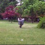 Eddie Spitzer - @tbag050 - Instagram