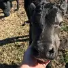 eddiespringer31 - @eddiespringer31 - TikTok