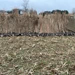@eddie_squires491 - Instagram