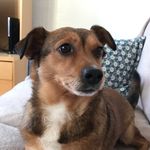 Eddie - @eddie_starts_anew - Instagram