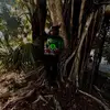 5starr.eddie_ - @5starr.eddie_5 - TikTok