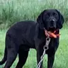 Eddie Stepp - @eddie.stepp - TikTok