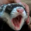 Eddie Sterling - @bree.lovesuuuu - TikTok