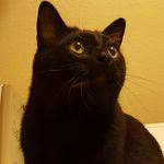 Eddie Tiger Griffin - @tigerpp6969 - Instagram