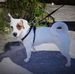 Eddie Streeter - Facebook