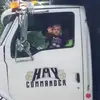 Eddie Strong - @eddie.strong30 - TikTok