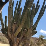 Eddie Suarez - @vitalsigns1221 - Instagram