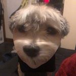 Eddie Tasker - @eddietasker - Instagram