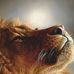 Eddie Tehrani - Facebook