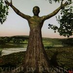 Eddie Tehrani - @eddietehrani - Instagram
