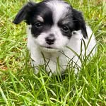 Carol Thacker - @eddie_thacker_2024 - Instagram