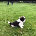@eddie.thornfeldt - Instagram