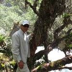 Eddie Thornberry - @eddiethornberry - Instagram