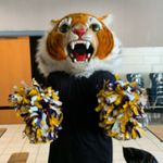 Eddie the Tiger - @eddie.the.tiger - Instagram