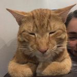 Eddie - @tiger._.eddie - Instagram
