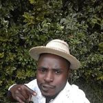 Tiger Eddie Wizzy - @tigereddiewizzy - Instagram