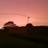 Eddie Tolero - @eddietolero - TikTok