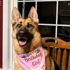 heathertorrence6 - @heddie31 - TikTok