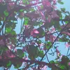 Eddie Vera - @eddie.vera.music - TikTok