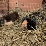 Eddie Walter - @eddie.walter.5378 - Instagram