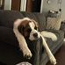 ED Westfall - Facebook