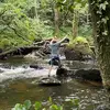 Ed Whiting - @edwhiting - TikTok
