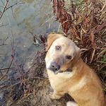 Eddie Whiting - @eddie.whiting - Instagram
