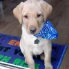 Eddie Williams - @eddie.williams68 - TikTok