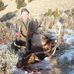Ed Winstead - Facebook