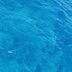 EddieWinstead - @eddiewinsteadc - Instagram