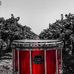 Eddie Wisner - Facebook
