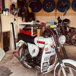 @eddiewolfiee - Instagram