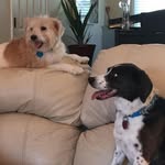 Eddie Wray - @eddie.wray.5 - Instagram