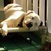 Eddie Yarbrough - Facebook