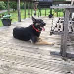 Eddie Yates - @yates9758 - Instagram