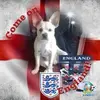 Eddie Yates - @eddie.yates1 - TikTok