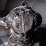 @eddie_yates_yorkshire - Instagram