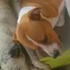 eddy acuña - @user1423348671407 - TikTok