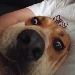Eddy Acuna - @eddyacuna09 - Instagram