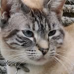 Eddy Bradley - @eddybradley6369 - Instagram