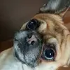 eddy carr - @eddy.carr5 - TikTok