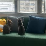 Eddy Chan - @eddy6645 - Instagram