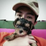 Eddy Chan - @eddychan_aedken - Instagram