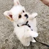 Eddychannel - @eddychannel0 - TikTok