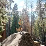 Eddy Hogea - @eddyhogea - Instagram