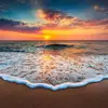 Eddy Johnson - @eddy.johnson0 - TikTok