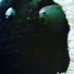 eddy lewis - @eddyl_ewis - Instagram