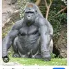 Eddy Paul - @eddy.paul476 - TikTok