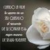 Eddy Santamaria - Facebook